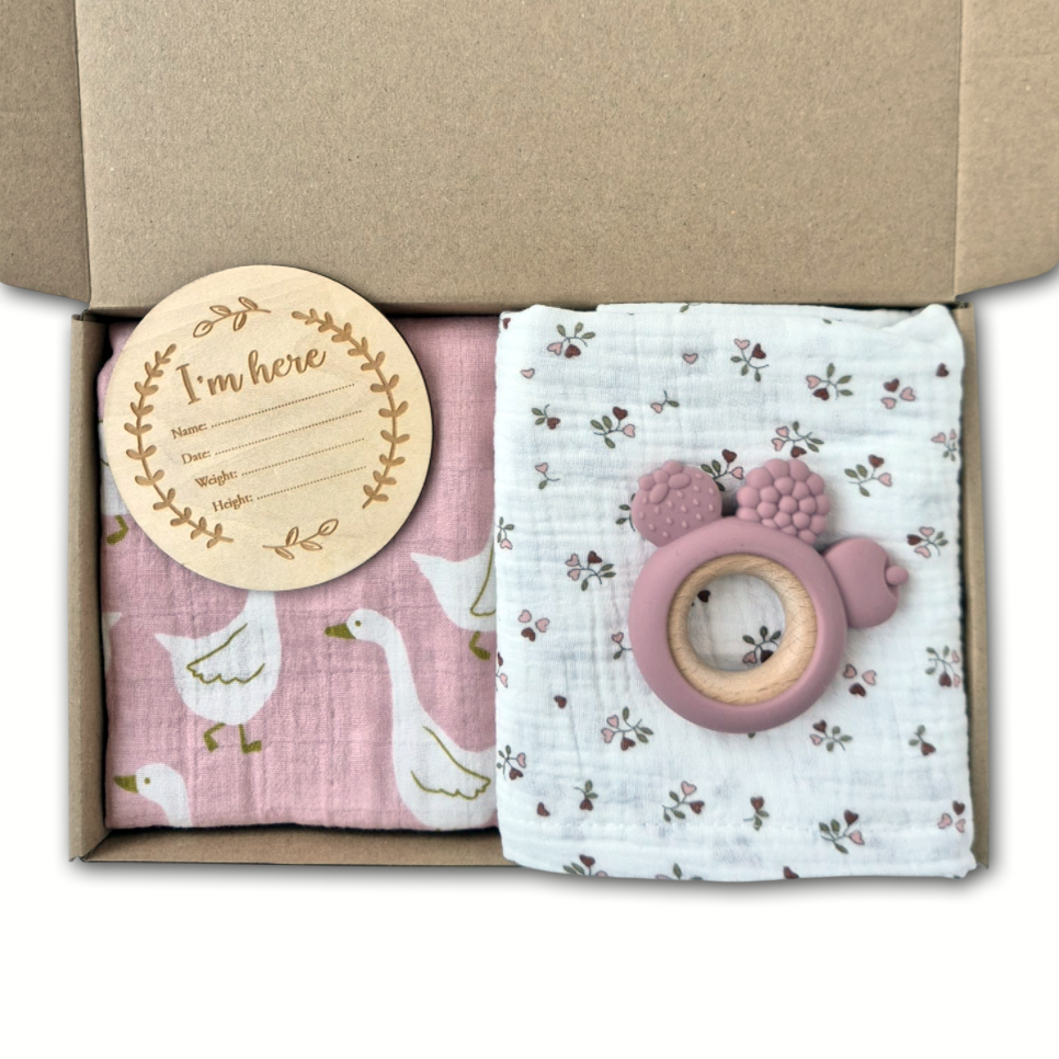 Brievenbus Kraamcadeau 'Pink Goose'