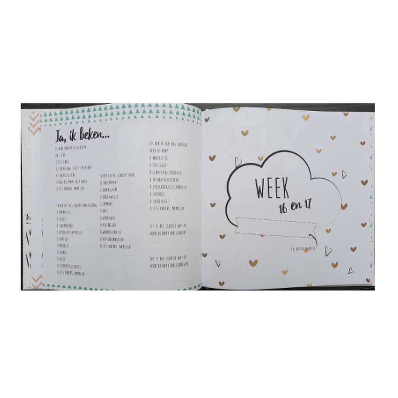 Invulboek "Mijn 9 Maanden Boek" (Cherry Blossom)