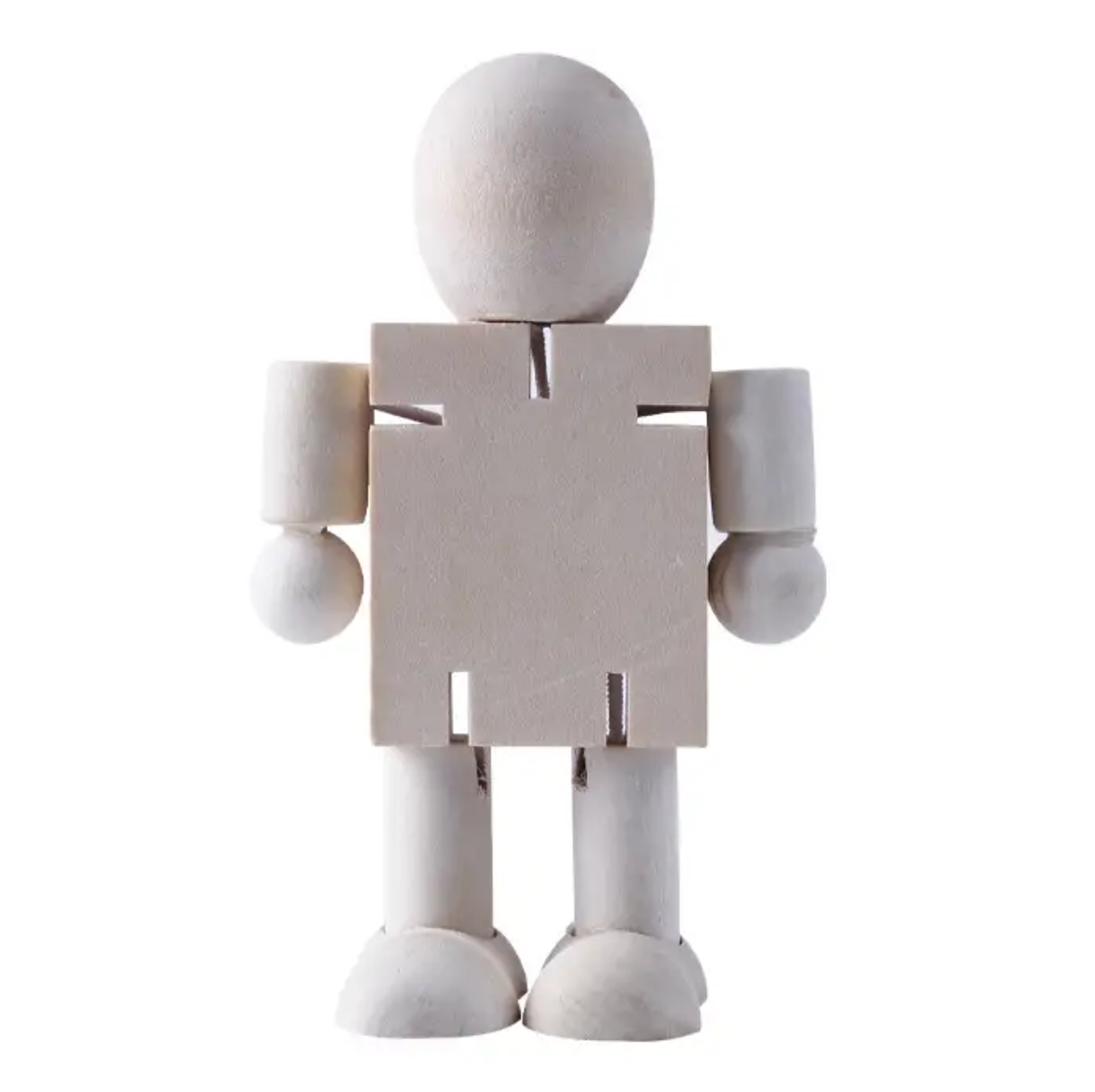 Houten Anatomie Pop