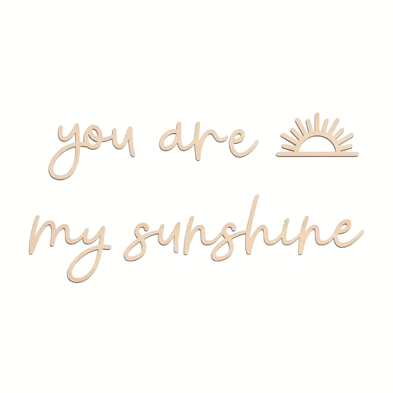 Houten Decoratie 'You are my Sunshine'