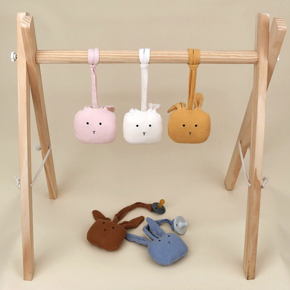 Bunny hangers