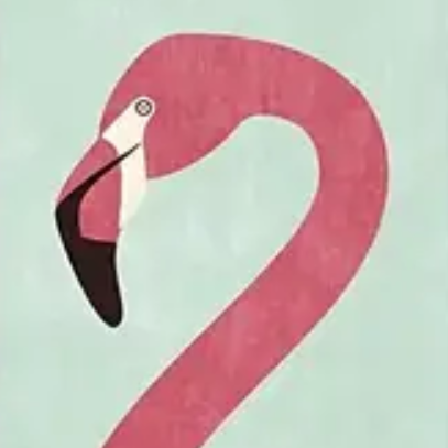 Canvas Dieren Poster flamingo